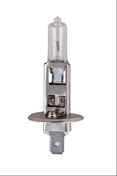 H1 OTO LAMBASI 24V 70W P14.5s ŞAVK